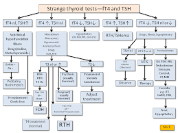 Image result for Thyroid Function Test