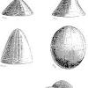 Paraboloidul eliptic paraboloidul hiperbolic cilindrul eliptic cilindrul parabolic cilindrul hiperbolic conul ptratic. Https Encrypted Tbn0 Gstatic Com Images Q Tbn And9gcqlpr5hjxvqdqpbyx Gkamwrh4bx Kiursrldmwd0u H5tp0ho0 Usqp Cau