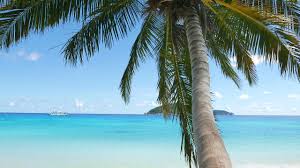26.03.2020 · then again, not everyone is a beach vacation fan, so gray malin has also included this now that you have converted the gif file into a video, it is time to add it as your virtual video background in zoom. Zoom Virtual Background Feels The Sea Breeze Youtube