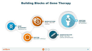 Develop Gene Therapies For Cardiovascular Diseases Gene Therapy Life Science Social Enterprise