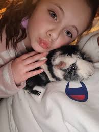 Guinea pig passes away at 4 years old