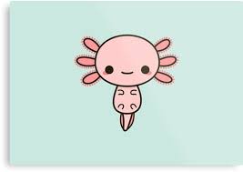 Certianly an axolotl for a odd choice for the pokemon designers to base one of the starters on though. Kawaii Cute Cartoon Axolotl Cute Axolotl Drawing Novocom Top
