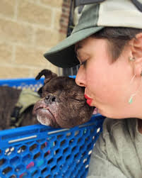 Caesar and Lucy enjoying being warm and loved ❤️❤️