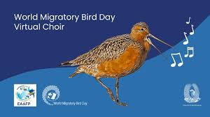 World Migratory Bird Day