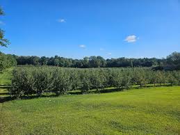 Radke Orchards | Michigan City IN