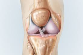 This video explains what is acl and how to. Getting Back In The Game After Acl Rupture Clinical Advisor