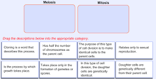 Natural selection webquest answer key.pdf free pdf download now!!! 2