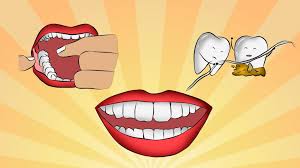 Amazon.com has been visited by 1m+ users in the past month Can Flossing Remove Tartar Water Flosser Guide