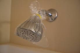 pro tip: how to clean a shower head  a