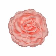 Gambar bunga untuk pacar, gambar bunga cinta romantis, gambar bunga mawar merah yang sangat cantik, gambar bunga islami, gambar bunga yang ada kata katanya, gambar. 2 Pcs Lot 3 7 Terbakar Satin Peony Bunga Mawar Jepit Rambut Kain Tutu Besar Rambut Bunga Klip Aksesoris Rambut Pernikahan Aliexpress