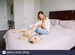 Young Caucasian Mother Breastfeeding Baby Sitting On Bed Cut Dog Pet Lying In Bed Friendship Of Domestic Animal And Human Animal Dog Allergy In Kids Childhood Happy Authentic Real Family Stock Photo