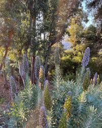 Bianca Elliott (@soullowellness) • Instagram photos and videos