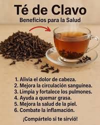 Los beneficios del té de clavos de olor.  #libroelarbolmigrantedelviveroatucasaii #delviveroatc #té  #librodelviveroatucasaguiaparaelcuidadodetusplantas #delviveroatucasa2022