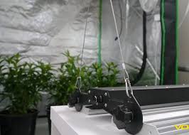 Maybe you would like to learn more about one of these? Led Grow Lights Volt Lighting