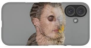 Ural Owl iPhone Cases for Sale
