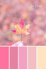 Pastel Autumn Colour Palette In Pinks