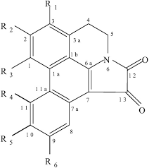 Image result for Lettowianthus stellatus