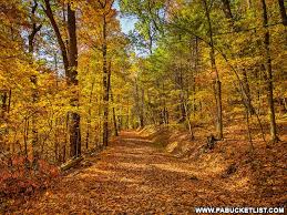 We did not find results for: The 7 Best Things To Do At Cowans Gap State Park