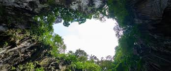 The public sector, which is led and funded. Urban Green Space As A Health Well Being Resource A Cross Sectional Study Among Children In Malaysia World Leisure Organization