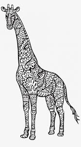 When it gets too hot to play outside, these summer printables of beaches, fish, flowers, and more will keep kids entertained. Giraffe Coloring Baby Giraffe Coloring Tall Giraffe Colouring Pages Png Image Transparent Png Free Download On Seekpng