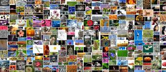 Give your facebook videos the music they deserve and take your content to the next level. How To Make A Photo Collage With Music For Facebook