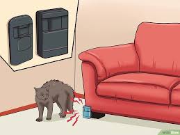 4 Ways To Stop A Cat From Clawing Furniture Wikihow Cat Scratching Furniture Cat Training Cat Training Scratching