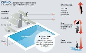 london 2012 olympics diving guide telegraph