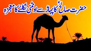 Islamic story of prophet saleh (a.s) and she camel (a miracle ). Pin On Dawateislam