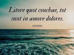 Check spelling or type a new query. Frasi D Amore In Latino 154 Dediche D Amore Senza Tempo A Tutto Donna