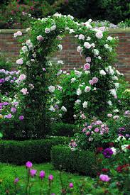 Treillis De Roses Anglaises David Austin Beaux Jardins Jardins Arche Jardin