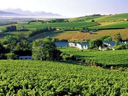 Durbanville Provinces Of South Africa South Africa Wine South African Wine