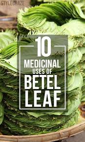 Both cactus pads and cactus fruit can help fight infections and ease the symptoms of anything from here are some of the health benefits of cactus: What Are The Benefits And Side Effects Of Betel Leaves Health Healing Herbs Health Tips