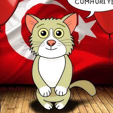 pisi tv konusan kediler 12 en komik kedi videolari facebook