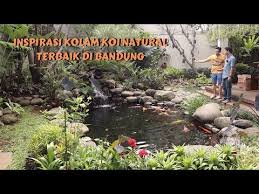 Kolam Koi Natural Terbaik Yang Ada Dibandung Bongkar Harga Biaya Pembuatan Kolam Koi Natural Youtube Di 2020 Kolam Ikan Kolam Taman