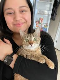 Missing Person in Louisiana During Mardi Gras