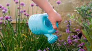Check out some fun ideas ideas here! Here S How To Make Gardening Fun For Kids