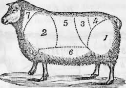 Cuts Of Mutton Chart