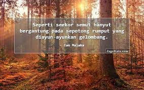 Kata kata terindah kehidupan penuh renungan indah pada waktunya. 45 Kata Kata Rumput Jagokata
