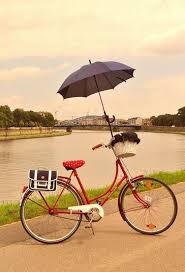 Image result for the best cycle in the world