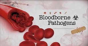 Image result for Bloodborne Pathogen Exposure