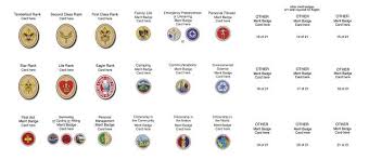 Merit Badge Organization Boy Scouts Merit Badges Merit Badge Scout Activities