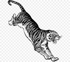 856 x 933 jpeg 237 кб. Lion Drawing Png Download 700 800 Free Transparent White Tiger Png Download Cleanpng Kisspng