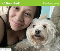 Lost Pets of Northern New Jersey