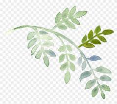 5 out of 5 stars. Plant Download Watercolor Painting Water Color Flowers And Greenery Free Transparent Png Clipart Images Download