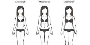 Image of Body types