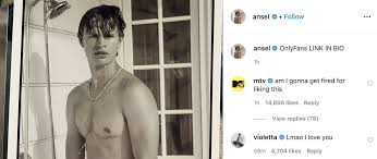 Ansel Elgort raises thousands for charity thanks to his 'OnlyFans' nude