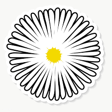 Black And White Daisy Transparent Background Flower Clipart Hand Drawn White Common Daisy Flower Transparent Png Premium Image By Rawpixel Com Sasi