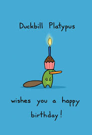 Duckbill Platypus Birthday Card Etsy Birthday Cards Cards Birthday
