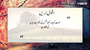 Best Beautiful Quotes In Urdu | Urdu 9 - YouTube