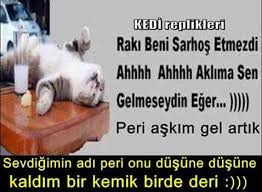 Hasret Kaya Adli Kullanicinin Ozlu Soz Panosundaki Pin Ozlu Sozler Kedi